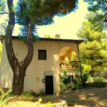 Koumaria * Agios Georgios (Thessaly)
